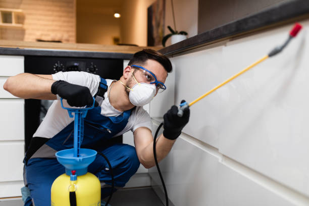 Best Termite Control Services  in Rancho Mirage, CA