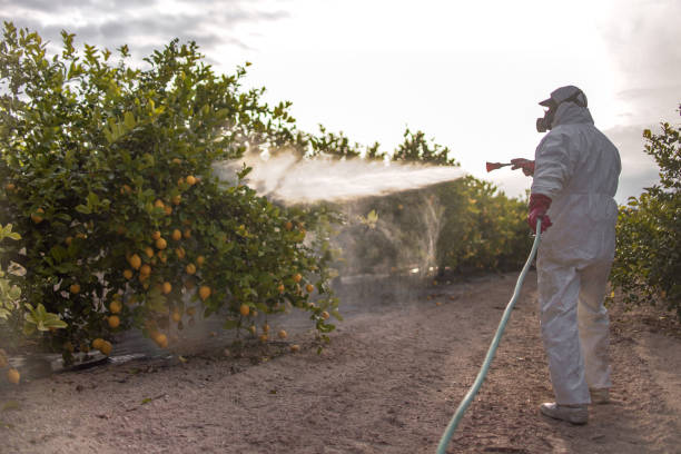 Pest Control Cost in Rancho Mirage, CA