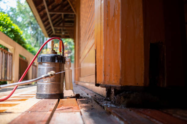 Best Best Pest Control Companies  in Rancho Mirage, CA
