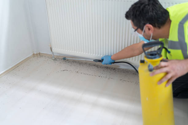 Reliable Rancho Mirage, CA Pest Control Solutions